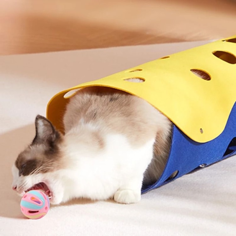 Colorful Cat Bell Ball Toys for Kittens Chase Sound and Indoor Play