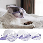 Transparent Cat Muzzle for Grooming Bathing Nail Trimming and Pet Care