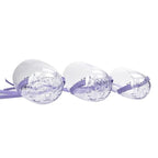 Transparent Cat Muzzle for Grooming Bathing Nail Trimming and Pet Care