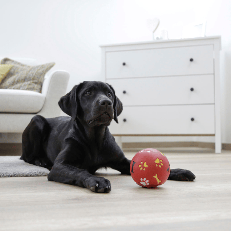 Interactive Dog Treat Dispensing Chew Ball Durable Rubber Pet Toy