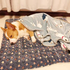 Flannel Thickened Soft Pet Bed Mat for Dogs and Cats