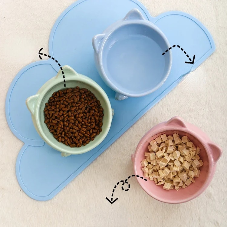 Ceramic Elevated Pet Bowl for Cats and Dogs