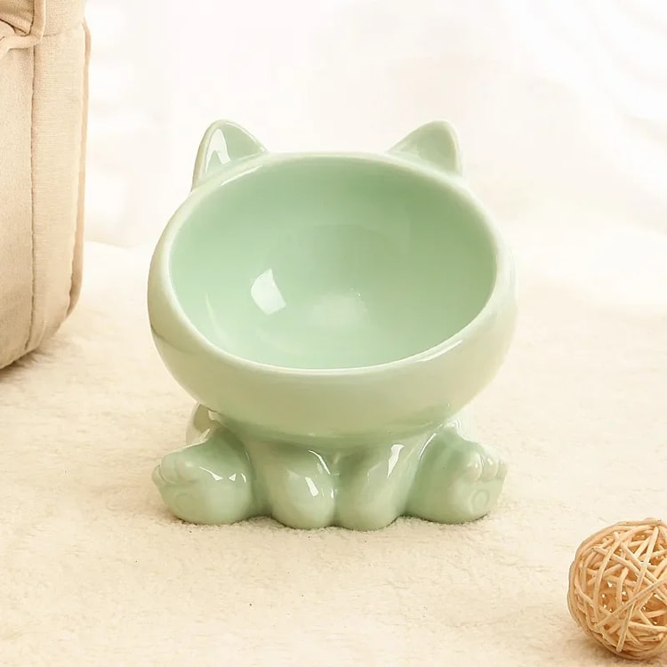 Ceramic Elevated Pet Bowl for Cats and Dogs