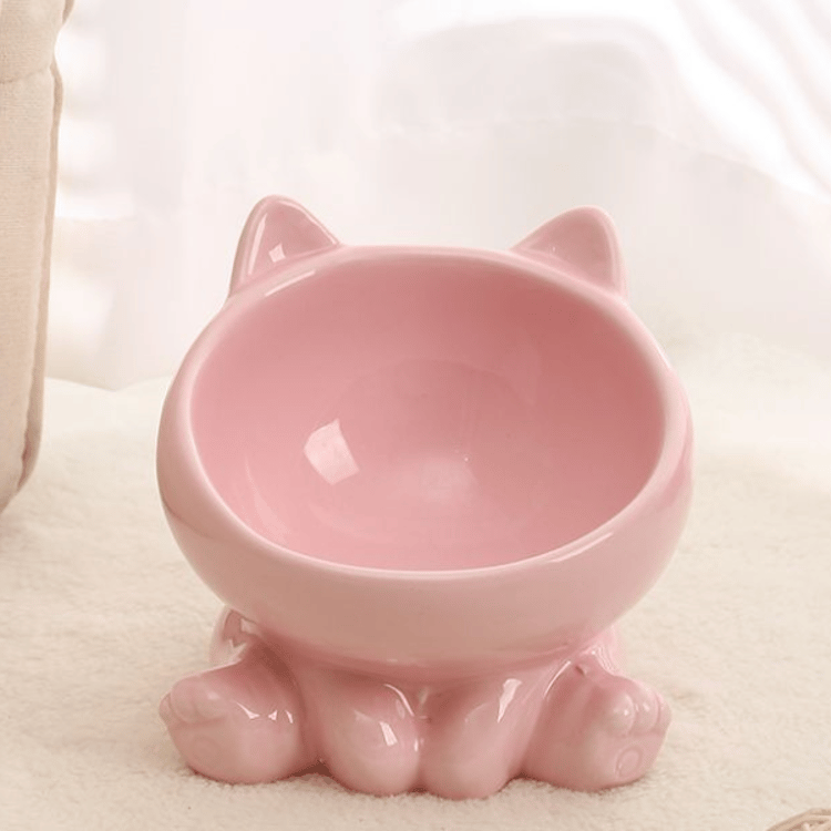Ceramic Elevated Pet Bowl for Cats and Dogs