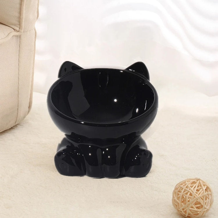 Ceramic Elevated Pet Bowl for Cats and Dogs
