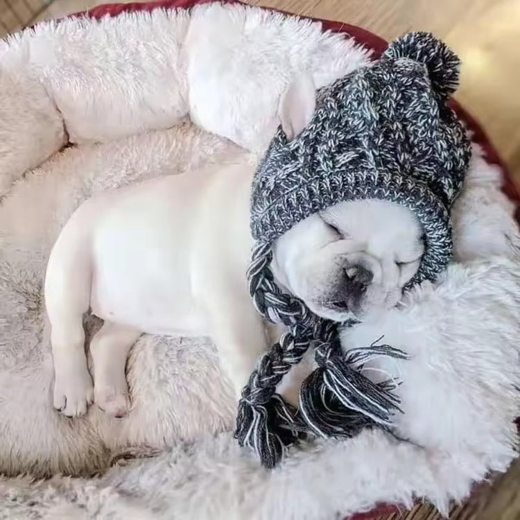 Knitted Pet Hat for French Bulldogs Chihuahuas and Small Dogs with Plush Ball