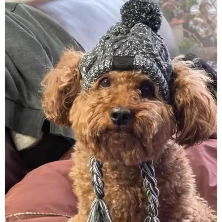 Knitted Pet Hat for French Bulldogs Chihuahuas and Small Dogs with Plush Ball